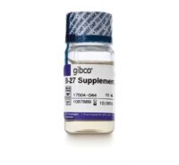 [Gibco][17504044][B-27™ Supplement (50X), serum free]